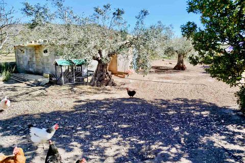 Landejendom i Caudete, Albacete, Caudete - € 149.950 | Ref: SF0574 - foto 33